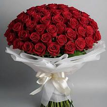 Букет 101 Красная роза Блэк Мэджик #REPLACE_PRED# Красноуральске