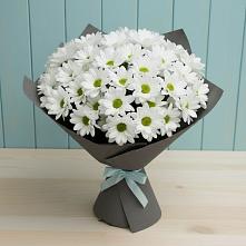 Букет цветов из:  Хризантемы #REPLACE_PRED# Красноуральске