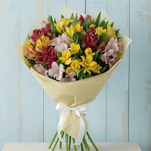 Букет цветов из:  Альстромерии в Красноуральске