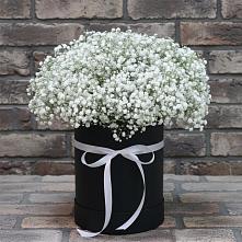 Цветочная композиция из Гипсофила в шляпной коробке #REPLACE_PRED# Красноуральске