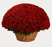 Премиум букет из: Розы в Красноуральске